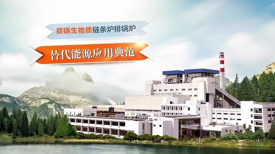 环球国际领衔编制行业技术标准，，，，，，，首次统一生物质链条炉排锅炉技术条件！