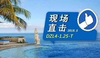 现场直击丨看生物质锅炉在巴厘岛如何强操作，，，，，，，回头客非它不选