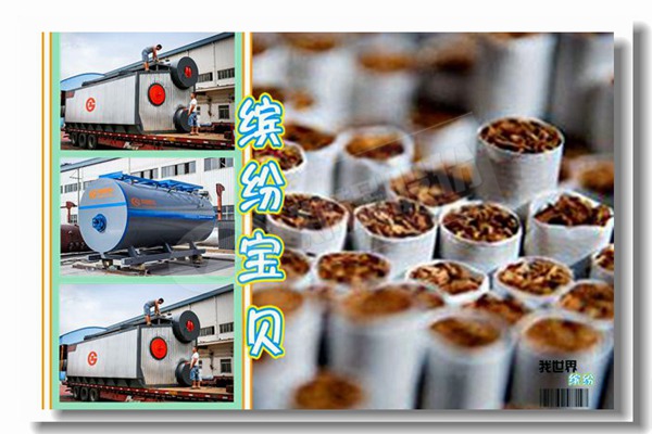 国内锅炉厂家有哪些？？？？？？？？如何选择？？？？？？？？